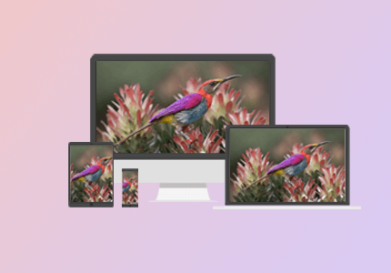 라온K 이미지M 이미지