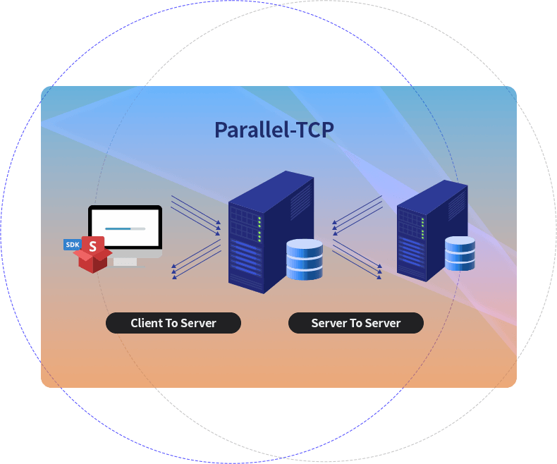 라이브패스 전송환경